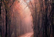 太阳大胜鹈鹕，取得三连胜保持领先优势