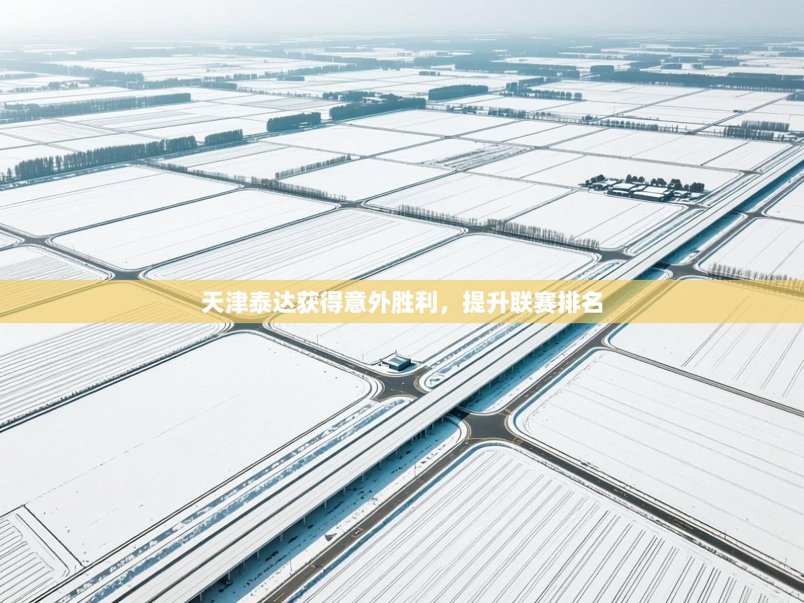 天津泰达获得意外胜利，提升联赛排名