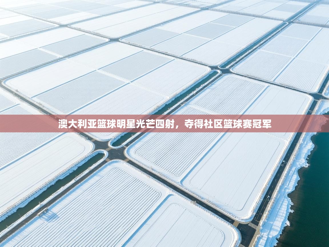 澳大利亚篮球明星光芒四射，夺得社区篮球赛冠军