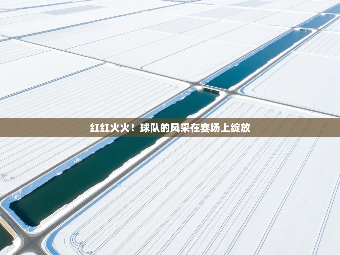 红红火火！球队的风采在赛场上绽放  第2张
