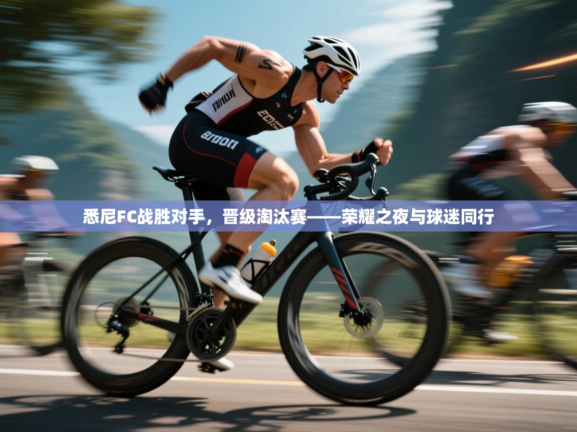 悉尼FC战胜对手，晋级淘汰赛——荣耀之夜与球迷同行  第1张