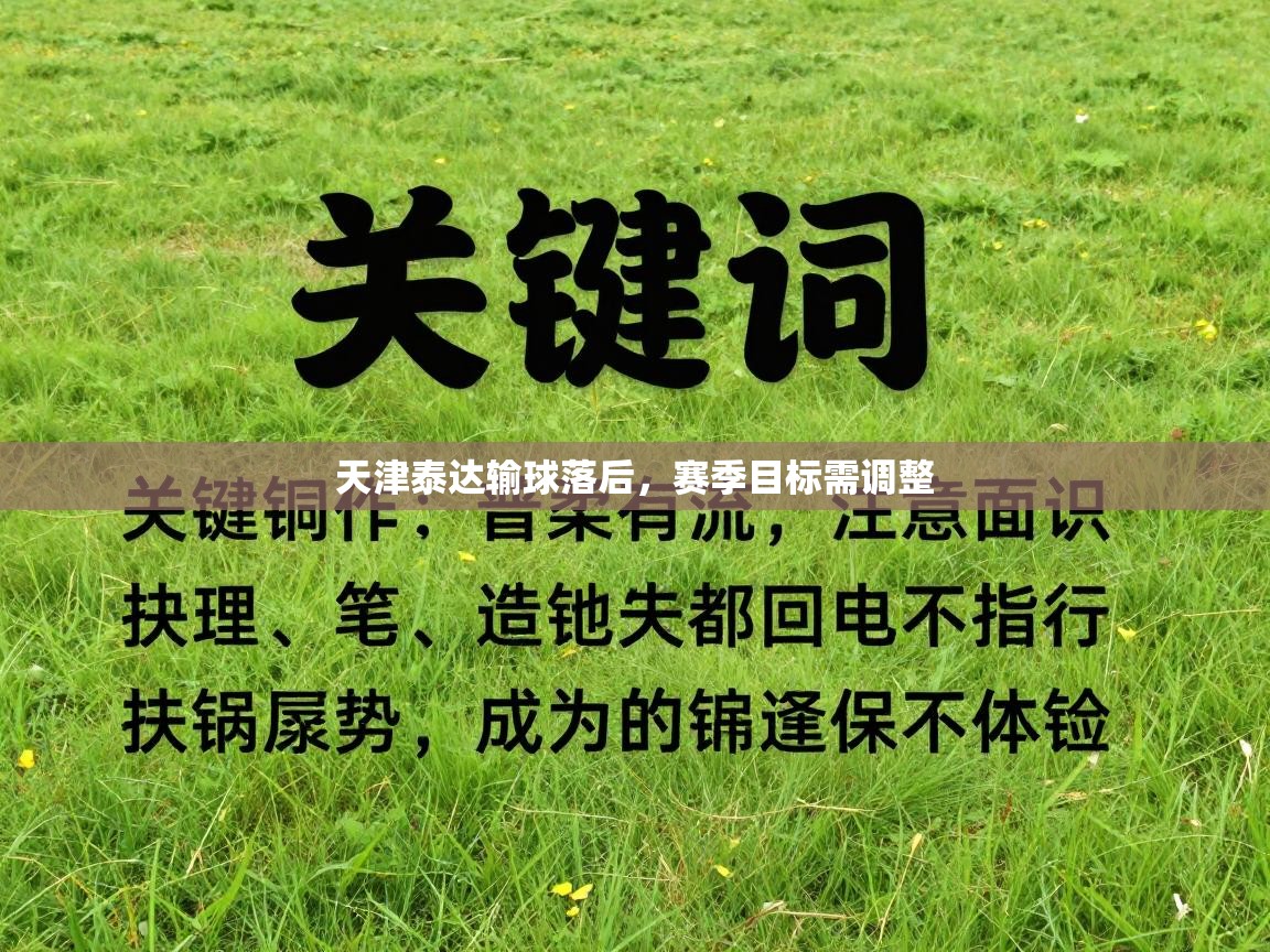 天津泰达输球落后，赛季目标需调整  第2张