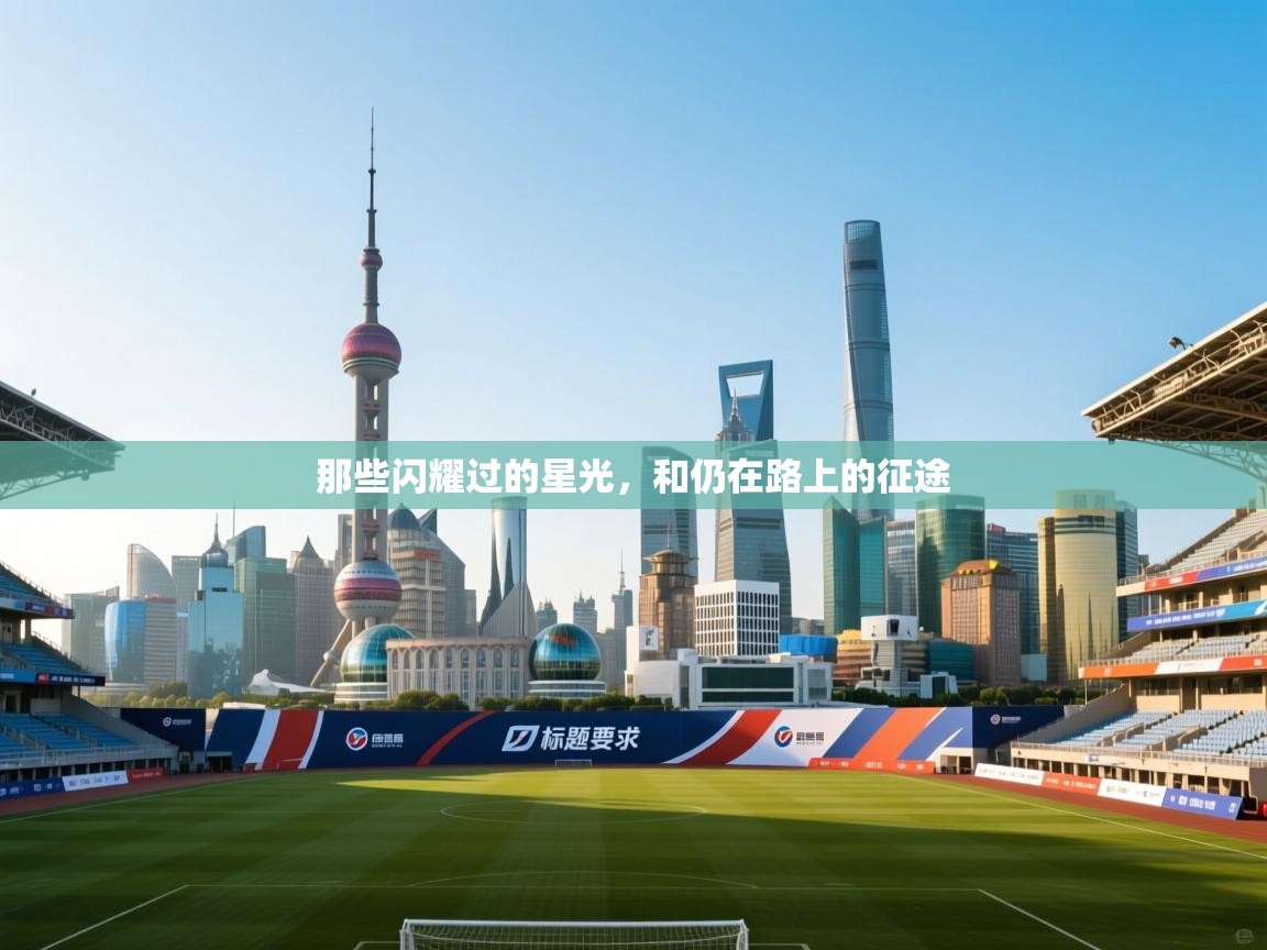那些闪耀过的星光，和仍在路上的征途  第1张