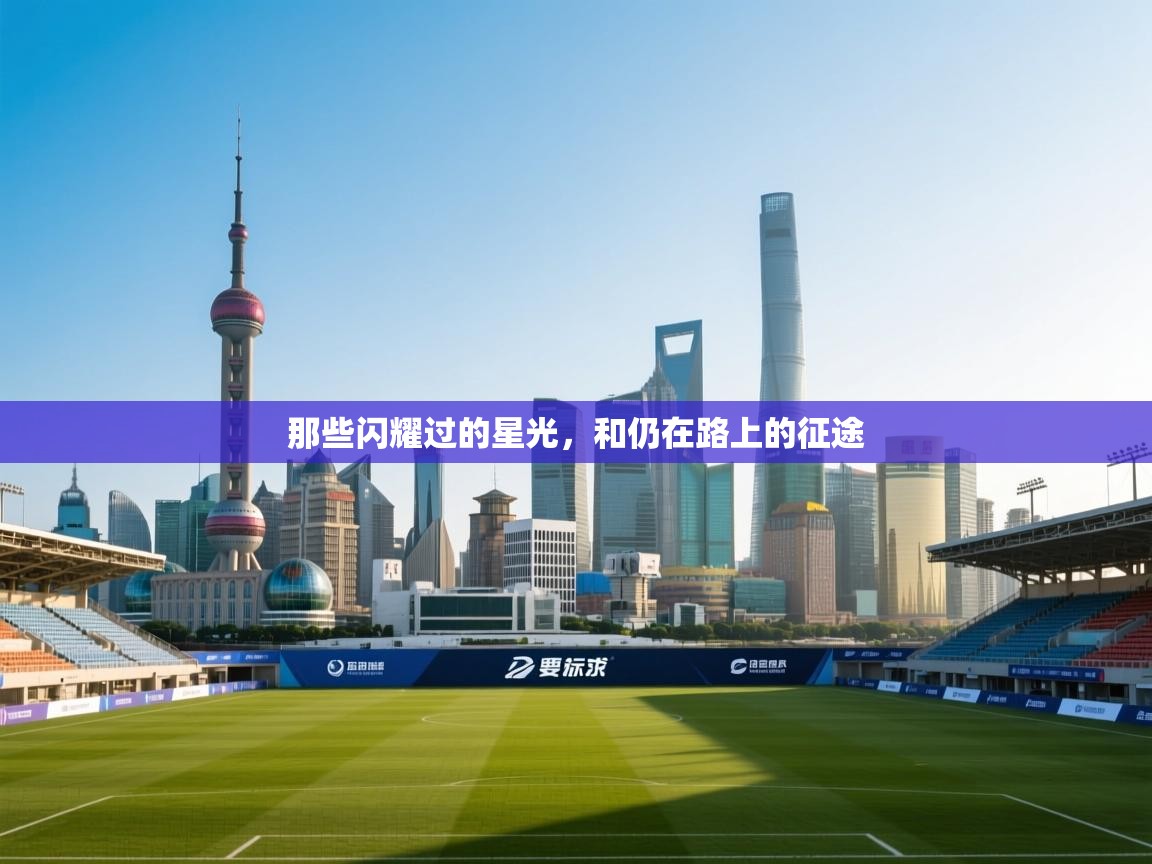 那些闪耀过的星光，和仍在路上的征途  第2张