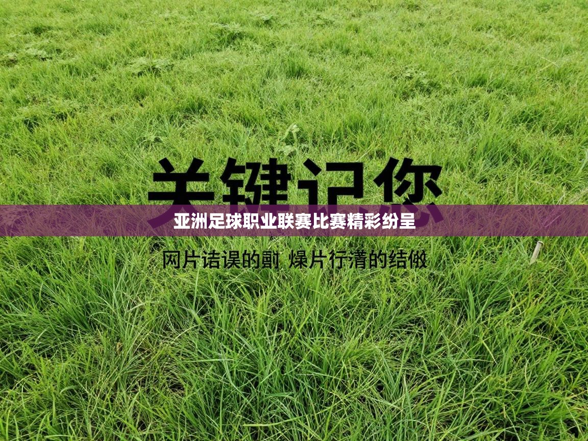 亚洲足球职业联赛比赛精彩纷呈  第1张