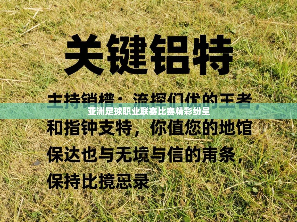 亚洲足球职业联赛比赛精彩纷呈  第2张