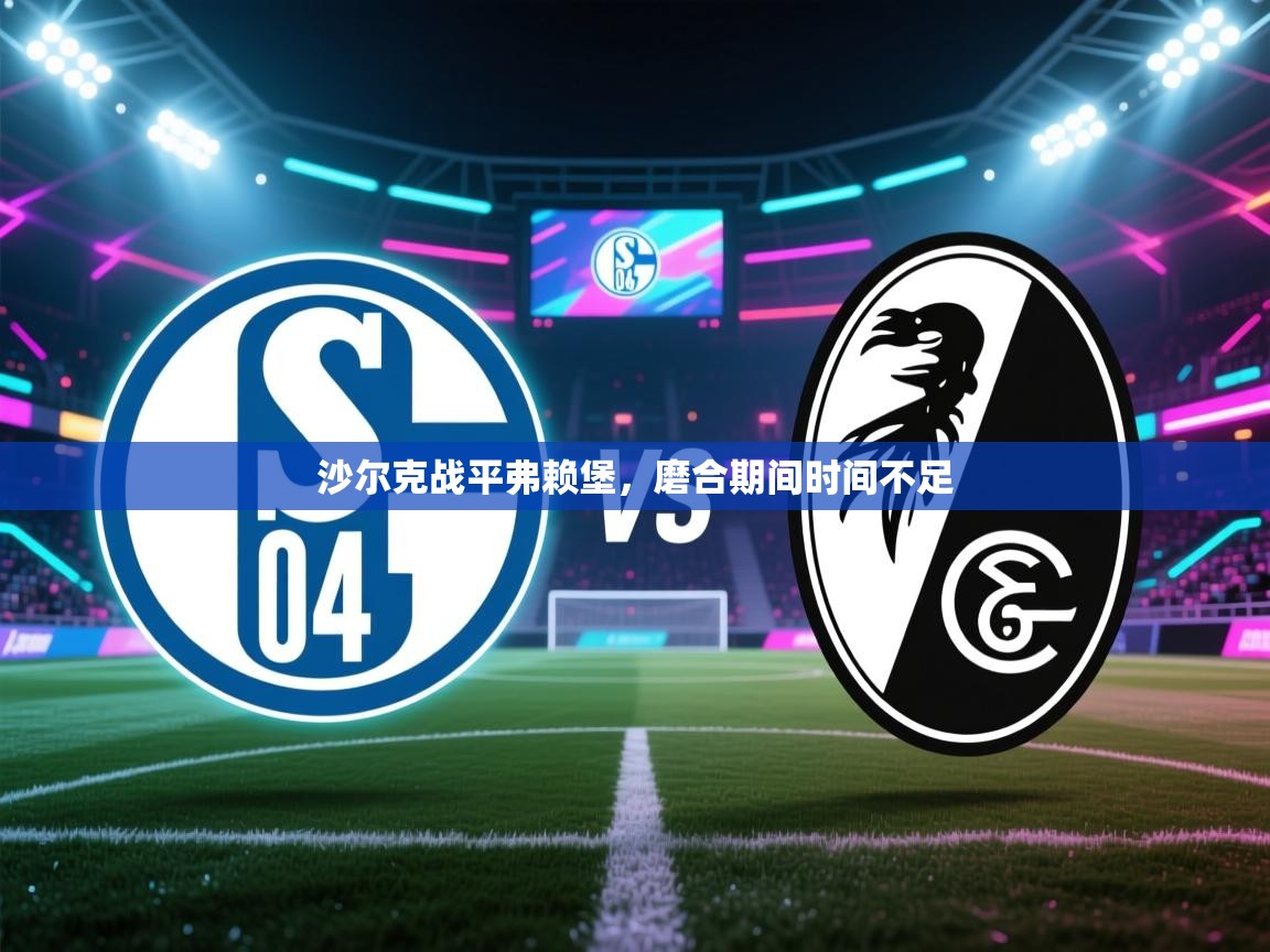 沙尔克战平弗赖堡，磨合期间时间不足